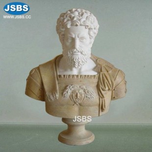 Male Marble Bust, Male Marble Bust
